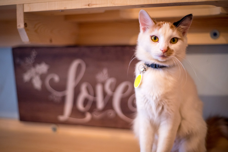 Small Businesses and Nonprofits in Columbus Ohio