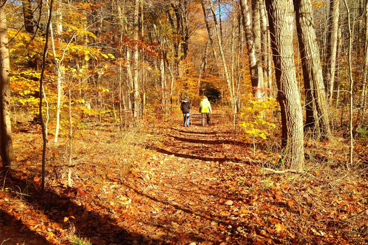 Outdoor Activities in Akron & Canton